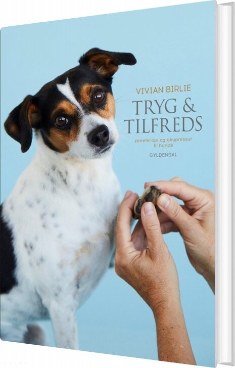 Billede af Tryg Og Tilfreds - Vivian Birlie - Bog