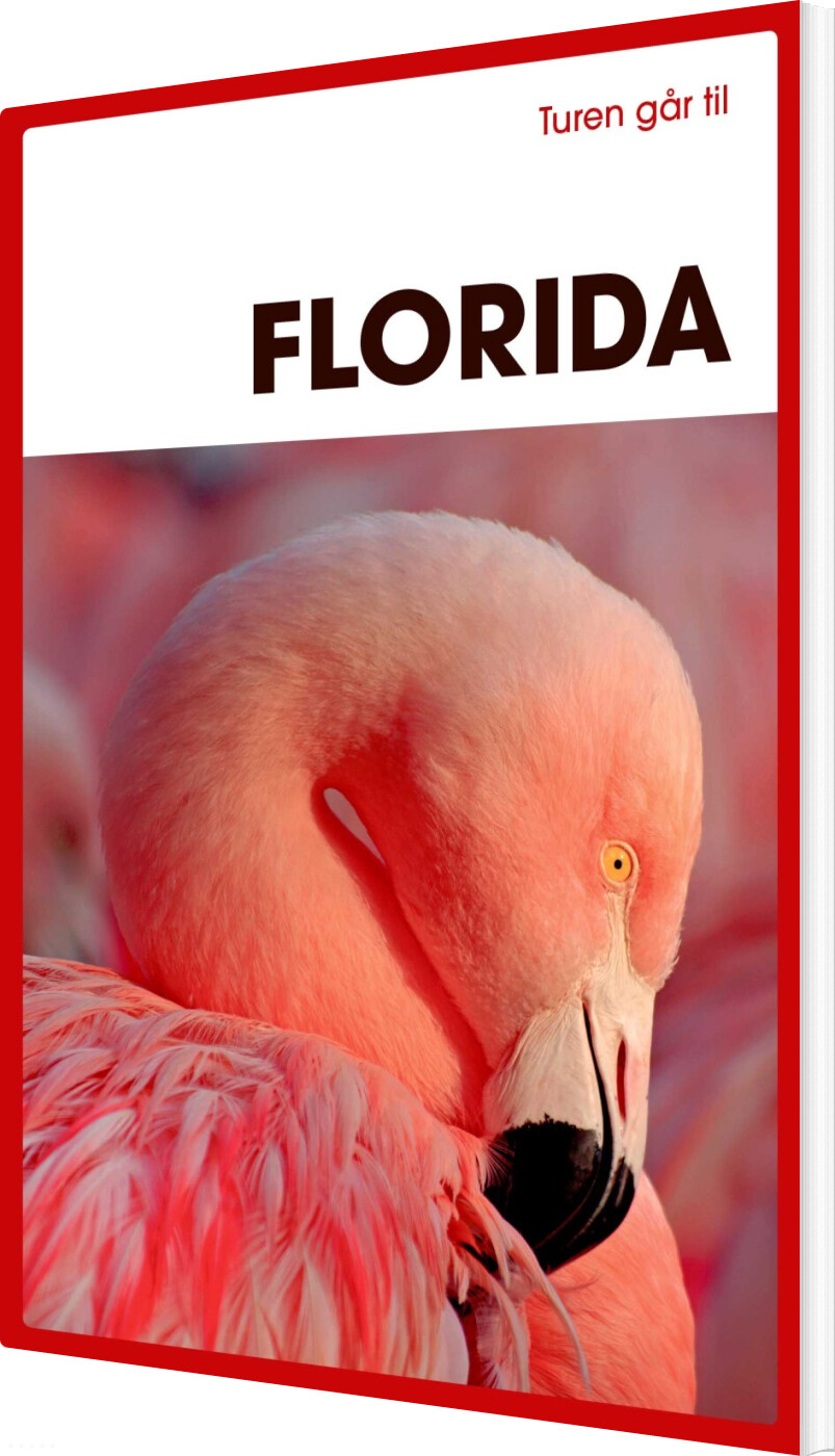 Turen Går Til Florida - Morten Scholz - Bog