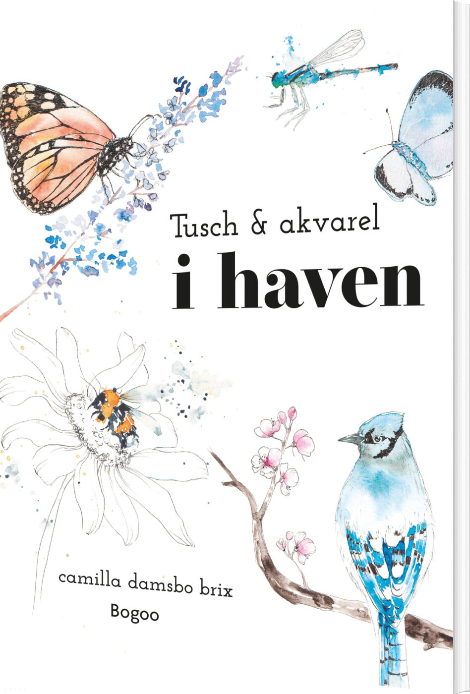 Tusch & Akvarel I Haven - Camilla Damsbo Brix - Bog