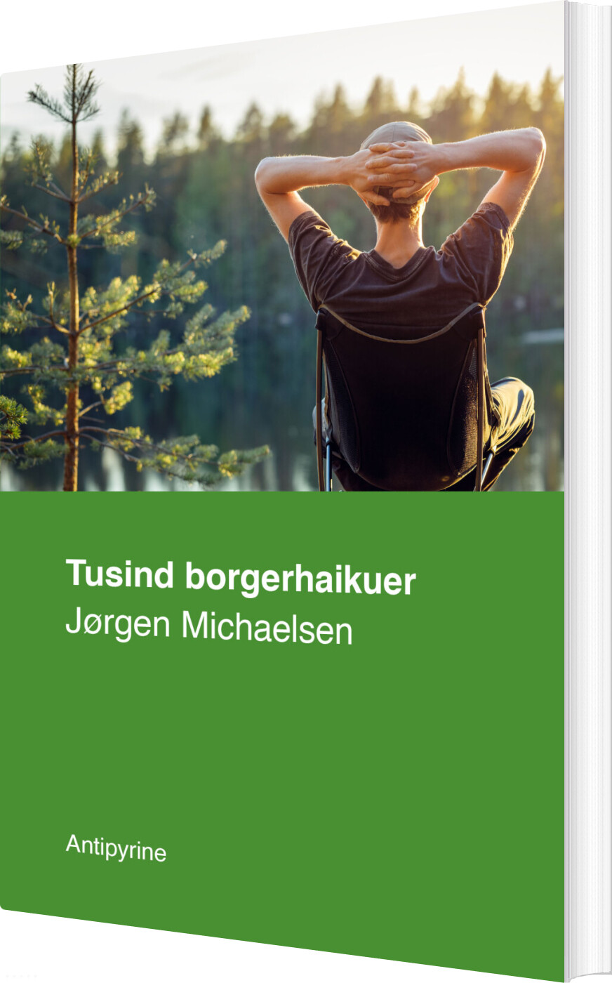 Tusind Borgerhaikuer - Jørgen Michaelsen - Bog