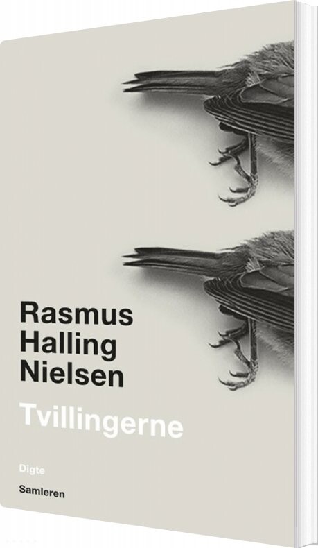 Billede af Tvillingerne - Rasmus Halling Nielsen - Bog