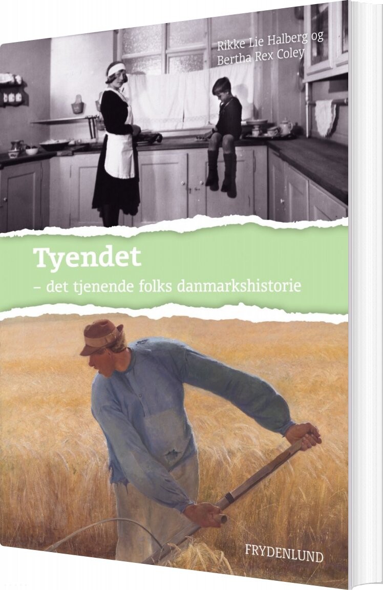 Billede af Tyendet - Rikke Lie Halberg - Bog