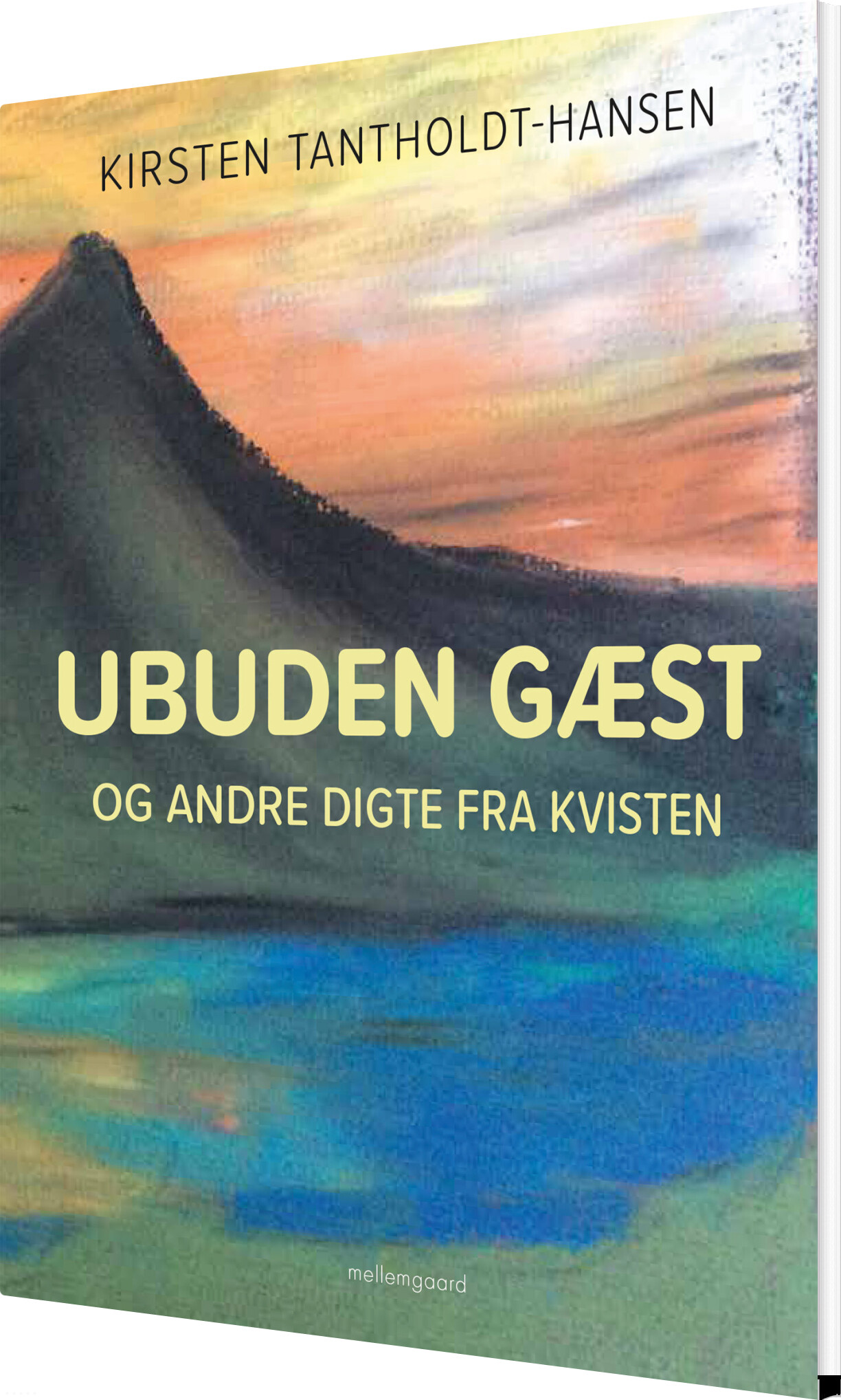 Ubuden Gæst Og Andre Digte Fra Kvisten - Kirsten Tantholdt-hansen - Bog