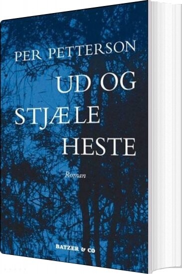 Billede af Ud Og Stjæle Heste - Per Petterson - Bog