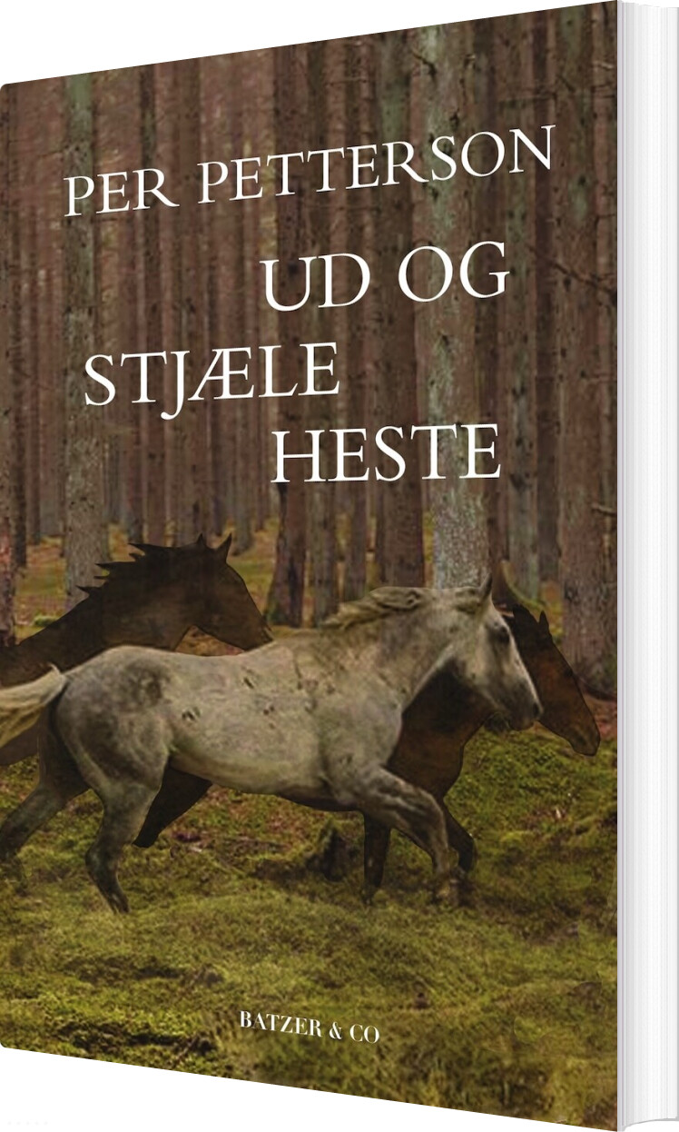 Ud Og Stjæle Heste - Per Petterson - Bog