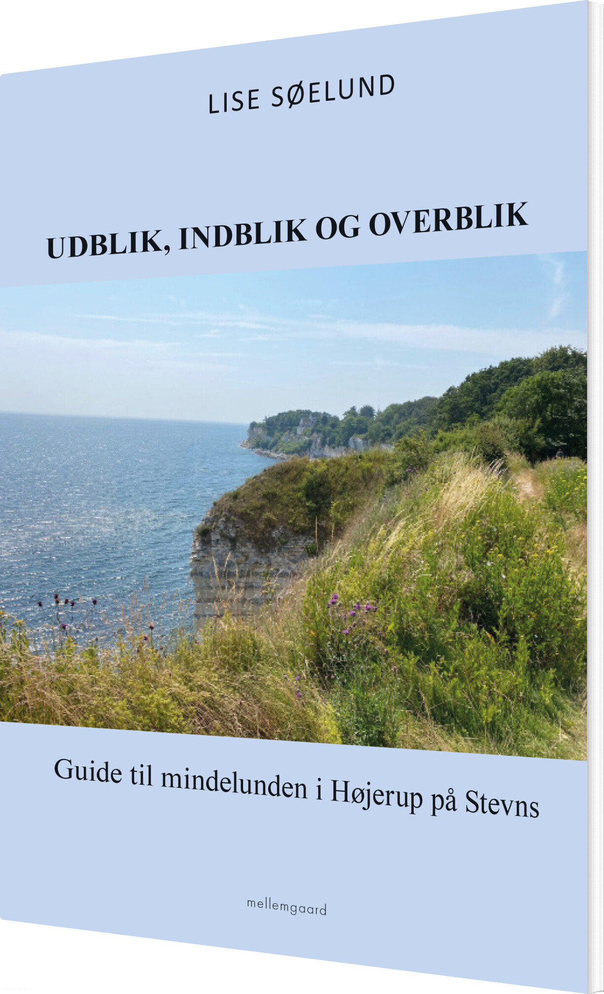 Udblik, Indblik Og Overblik - Lise Søelund - Bog