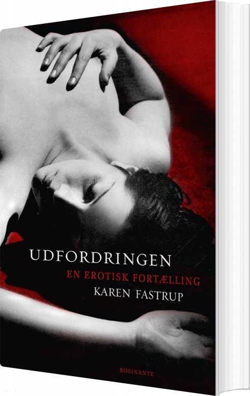 Billede af Udfordringen - Karen Fastrup - Bog