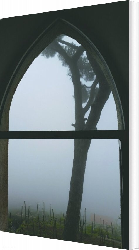 Udtog Ii - Christian Vind - Bog