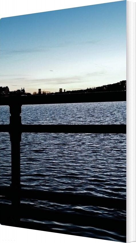 Udtog Iii - Christian Vind - Bog