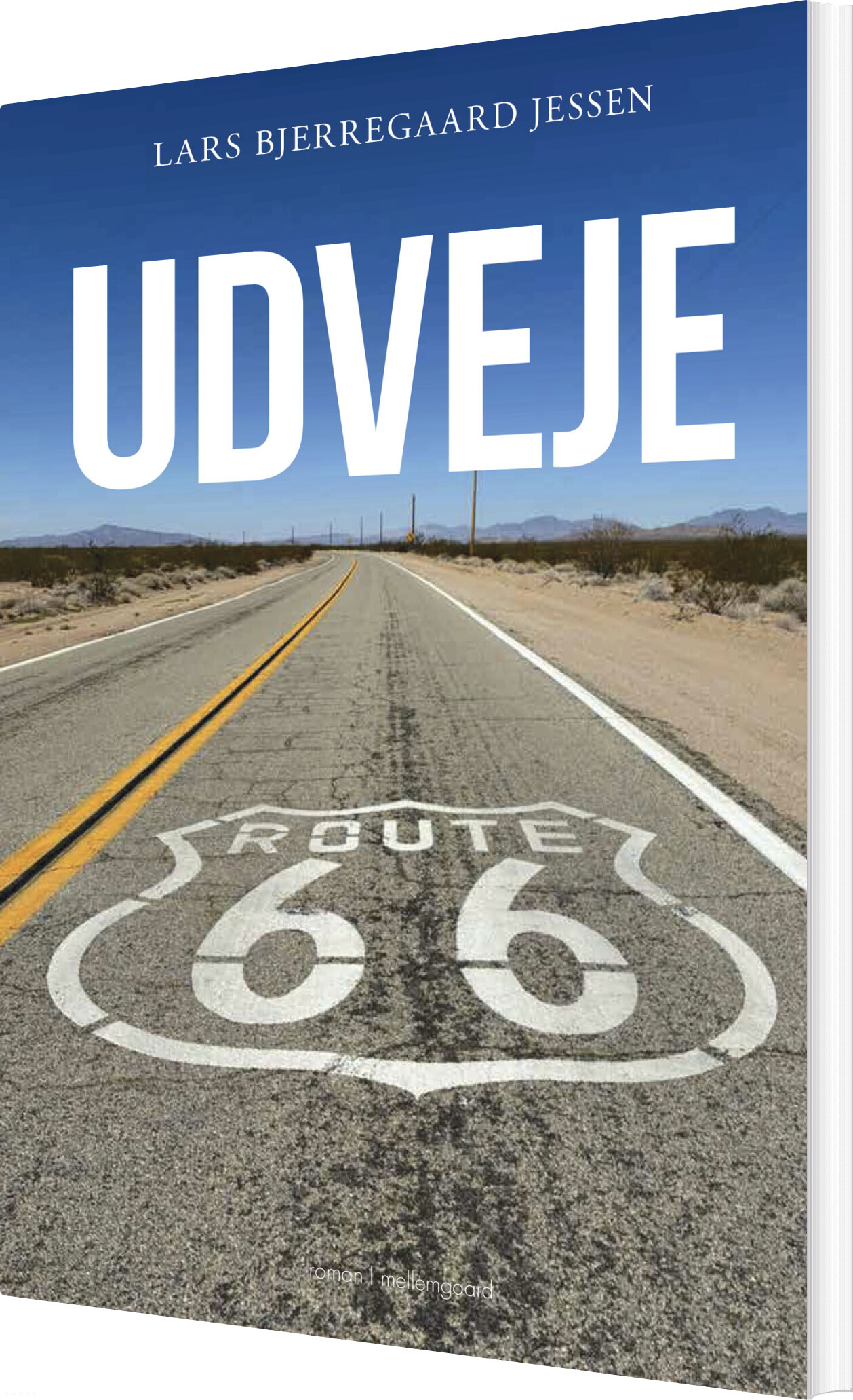 Udveje - Lars Bjerregaard Jessen - Bog