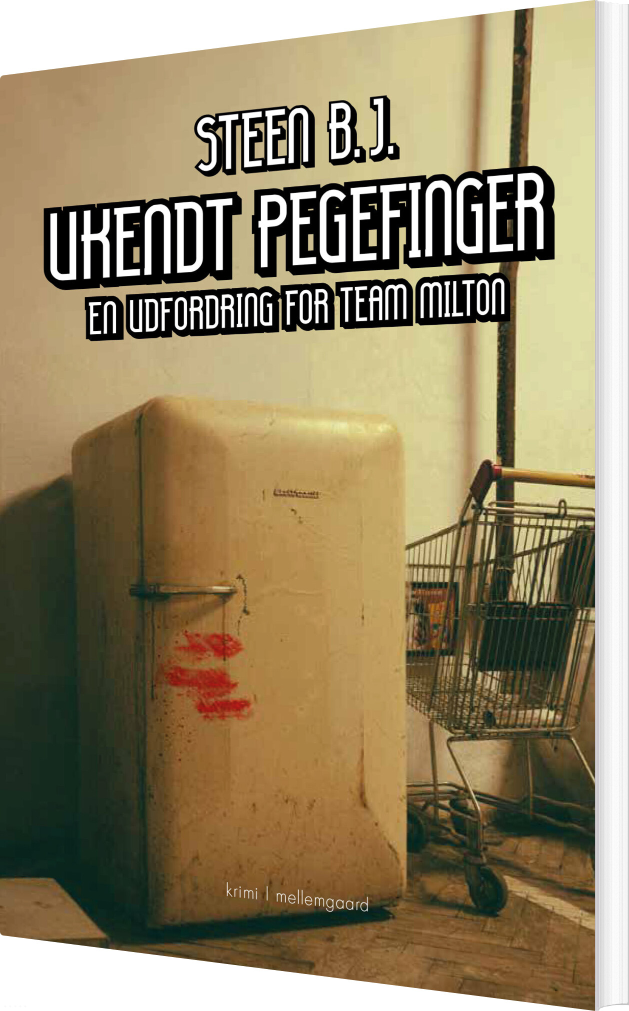 Ukendt Pegefinger - Steen B.j - Bog