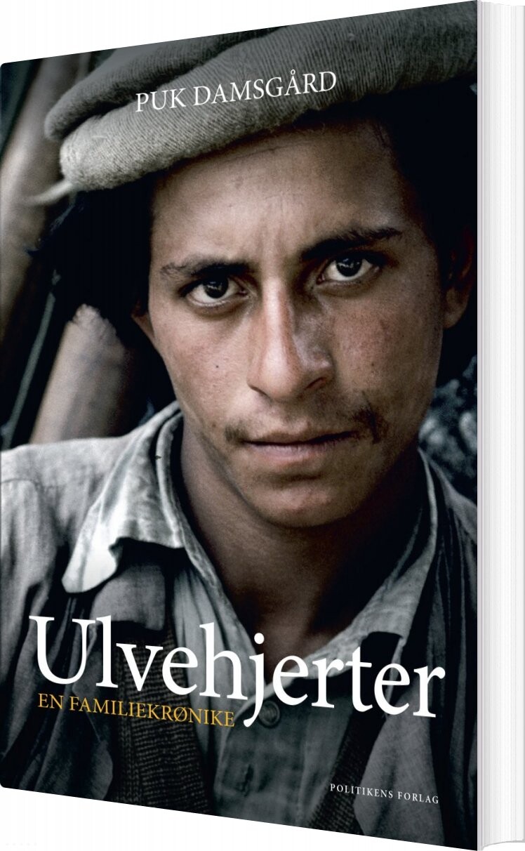 Billede af Ulvehjerter - Puk Damsgård - Bog
