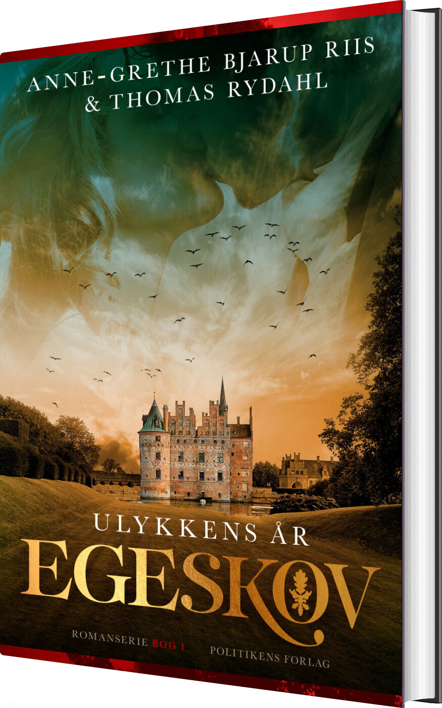 Billede af Ulykkens år - Anne-grethe Bjarup Riis - Bog