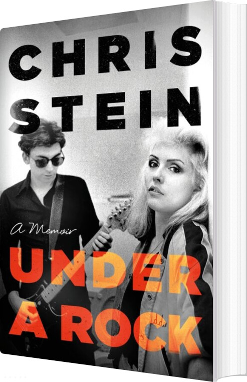 Under A Rock - Chris Stein - English Book