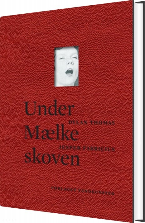 Under Mælkeskoven - Dylan Thomas - Bog