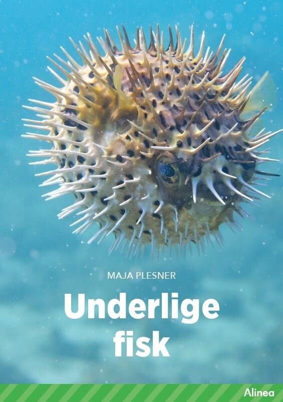 Billede af Underlige Fisk, Grøn Fagklub - Maja Plesner - Bog
