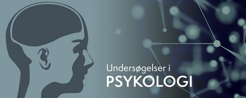 Undersøgelser I Psykologi - Katrine Quorning - Bog