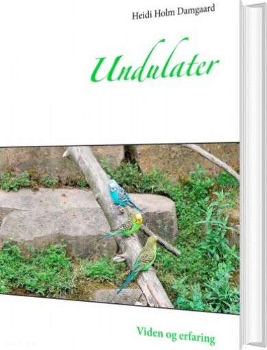 Billede af Undulater - Viden Og Erfaring - Heidi Holm Damgaard - Bog