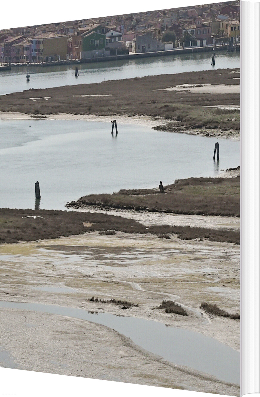 Urban Shores - Ole Fryd - English Book