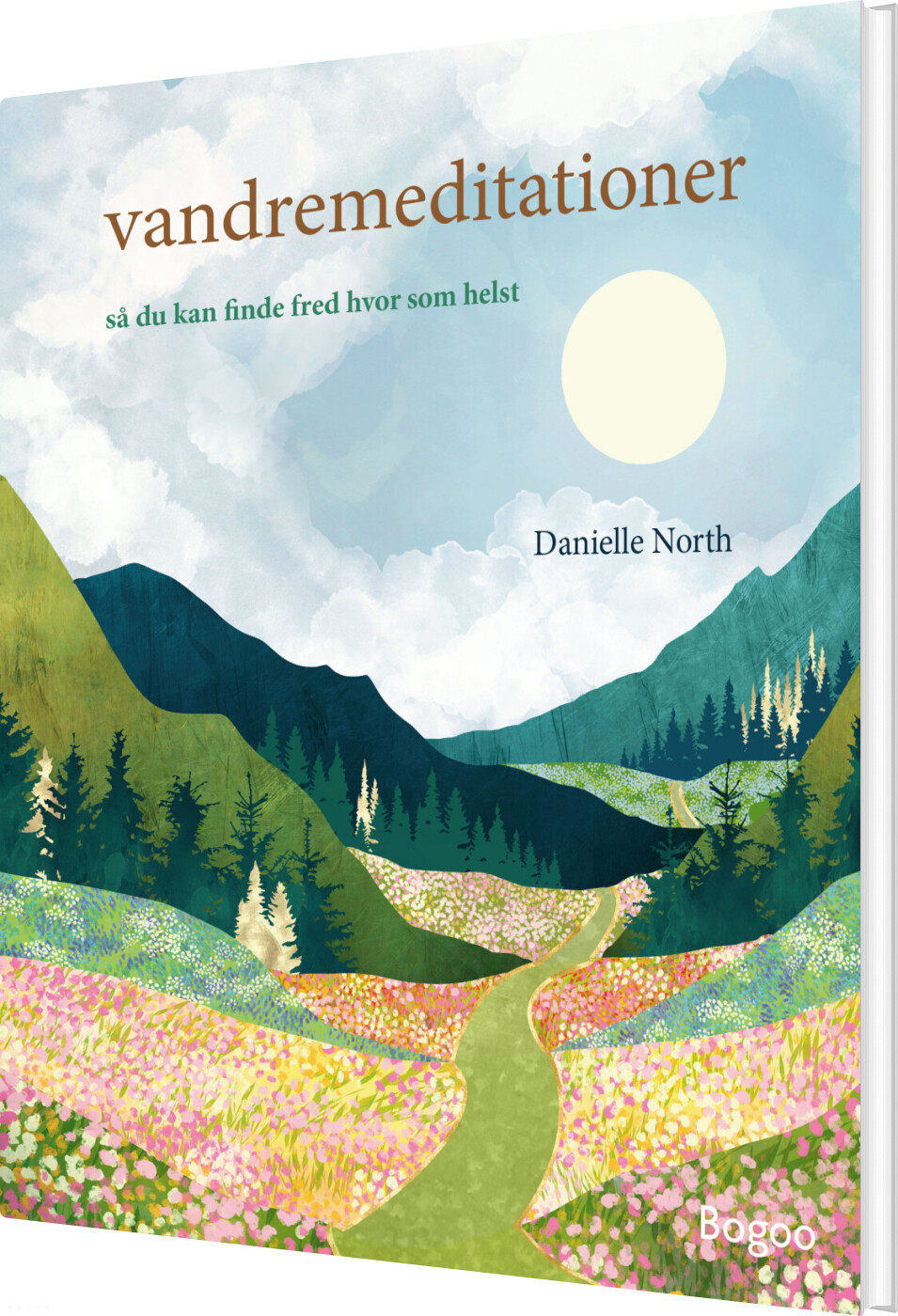 Vandremeditationer - Danielle North - Bog
