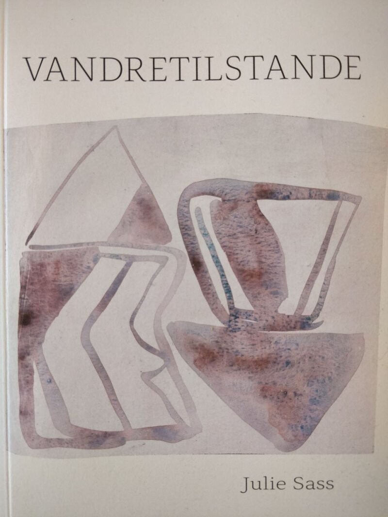 Billede af Vandretilstande - Julie Sass - Bog