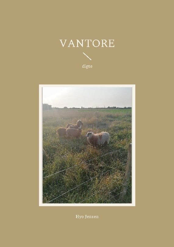 Billede af Vantore - Hyo Jensen - Bog
