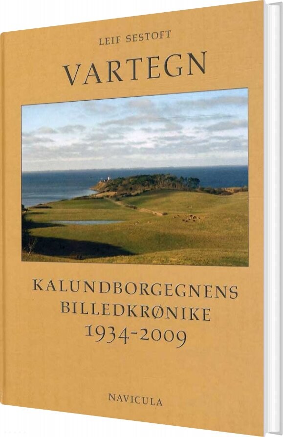 Billede af Vartegn - Leif Sestoft - Bog