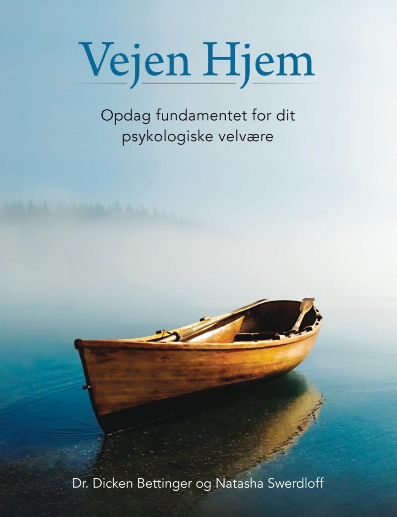 Billede af Vejen Hjem - Natasha Swerdloff - Bog