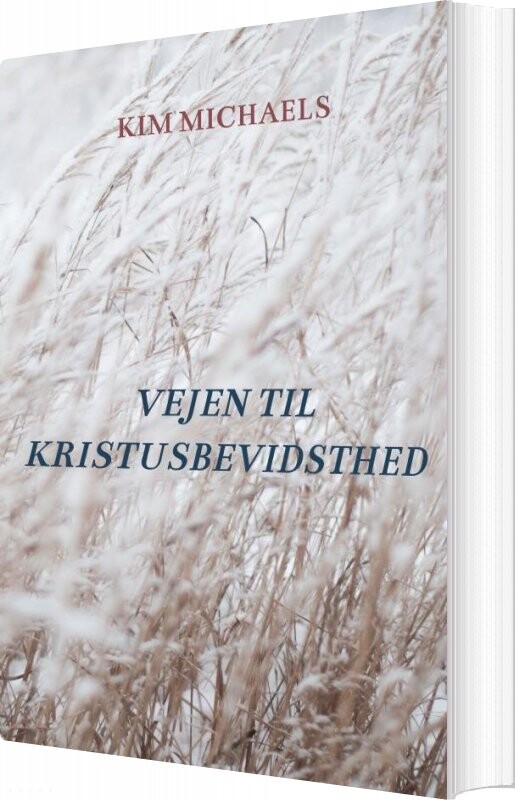 Billede af Vejen Til Kristusbevidsthed - Kim Michaels - Bog