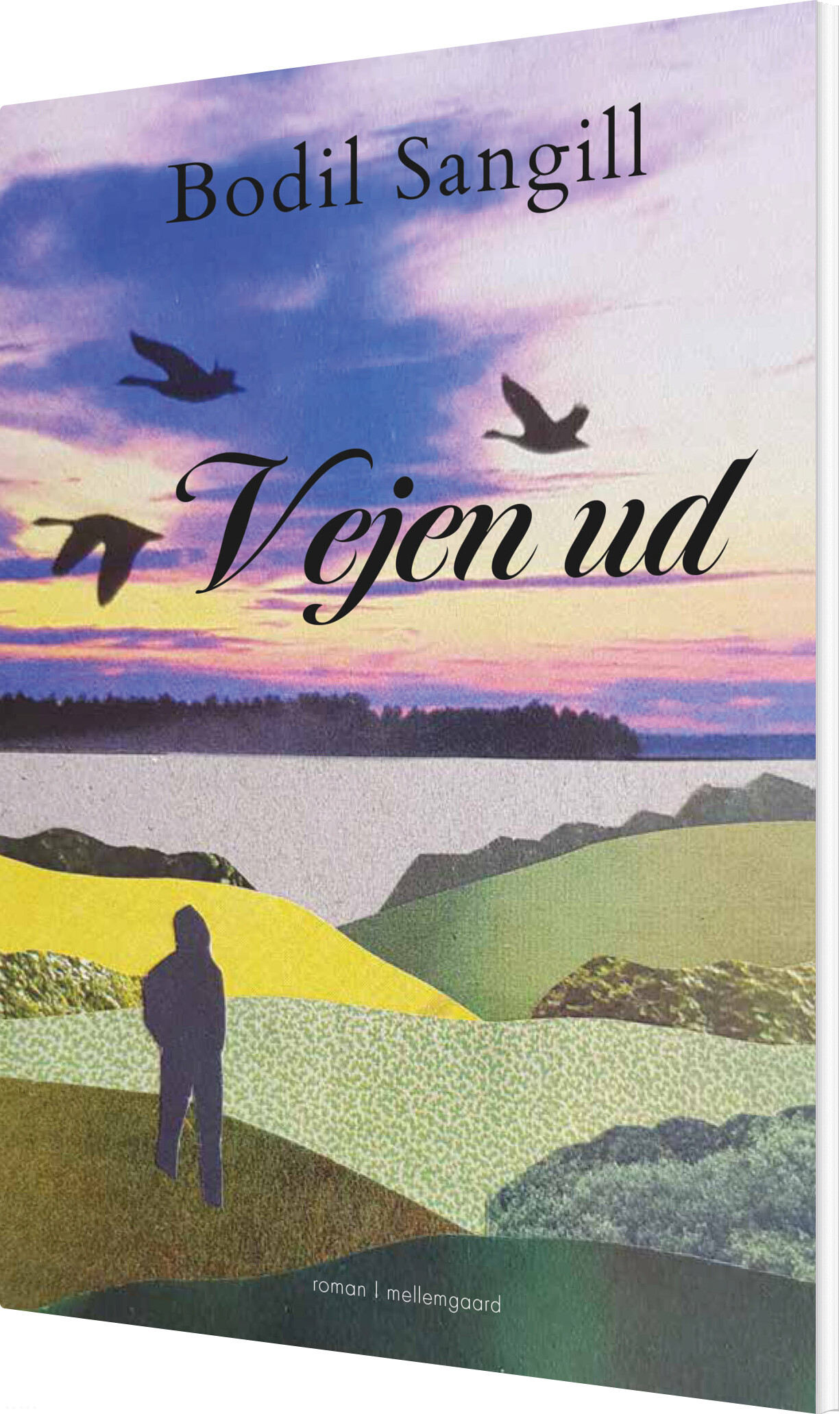 Vejen Ud - Bodil Sangill - Bog