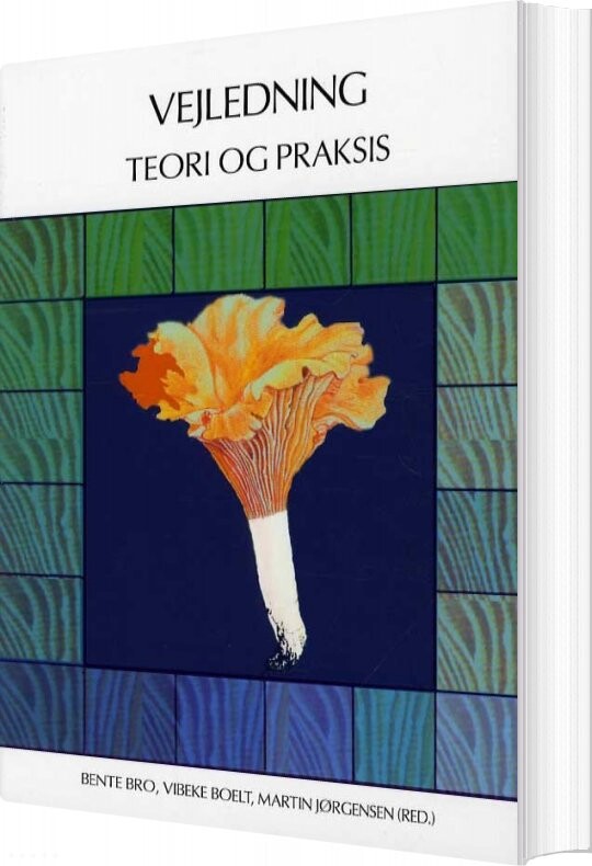 Billede af Vejledning - Teori Og Praksis - Vibeke Petersen M. Fl - Bog