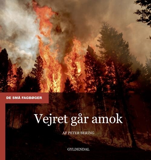 Billede af Vejret Går Amok - Peter Bering - Bog