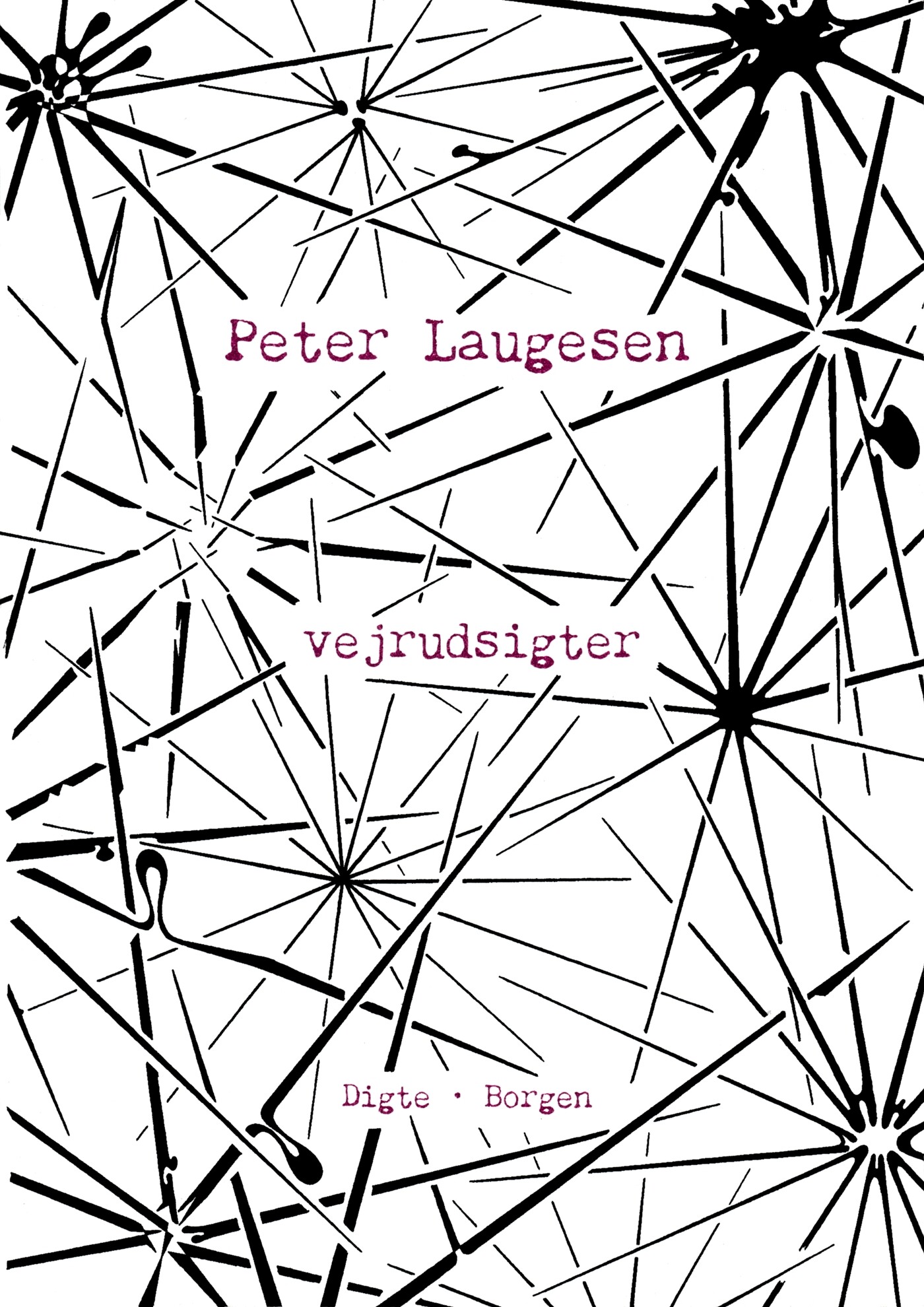 Billede af Vejrudsigter - Peter Laugesen - Bog