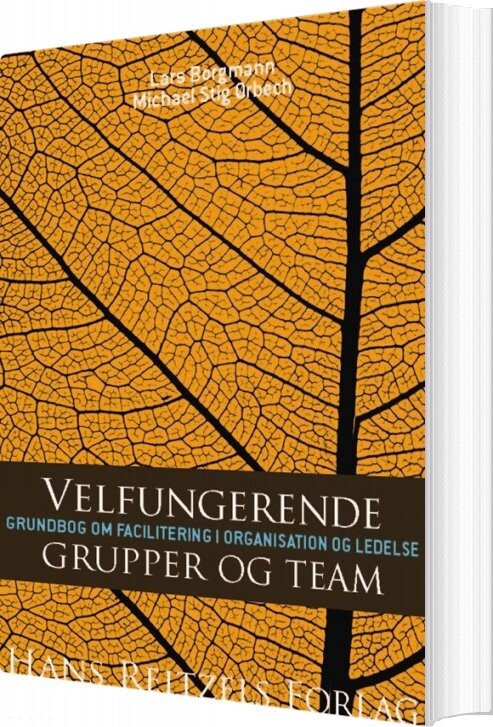 Billede af Velfungerende Grupper Og Team - Michael Stig ørbech - Bog