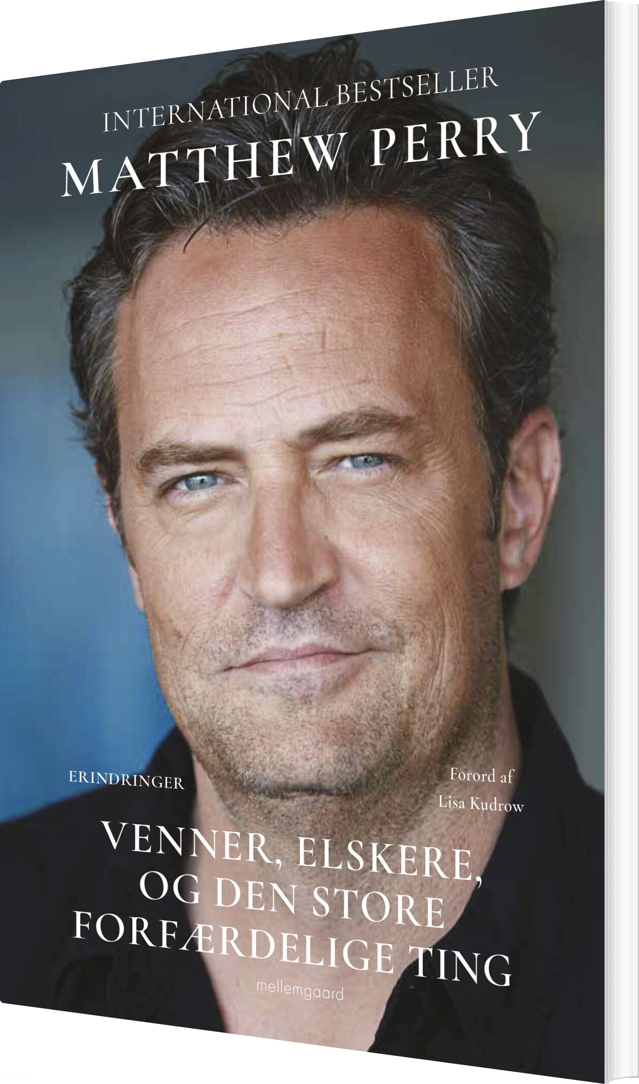 Venner, Elskere Og Den Store Forfærdelige Ting - Matthew Perry - Bog