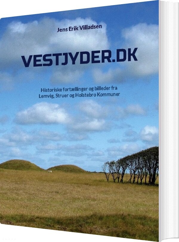 Billede af Vestjyder.dk - Jens Erik Villadsen - Bog