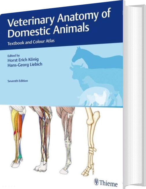 Billede af Veterinary Anatomy Of Domestic Animals - Erich Horst König - English Book