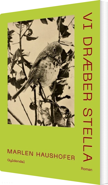 Vi Dræber Stella - Marlen Haushofer - Bog