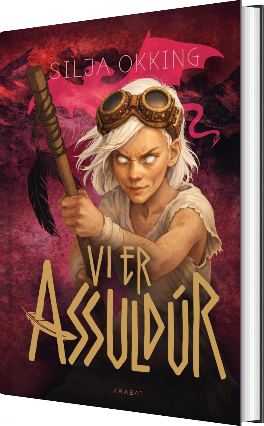 Vi Er Assuldúr - Silja Okking - Bog