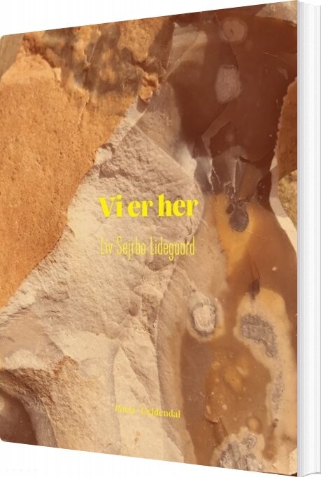 Billede af Vi Er Her - Liv Sejrbo Lidegaard - Bog
