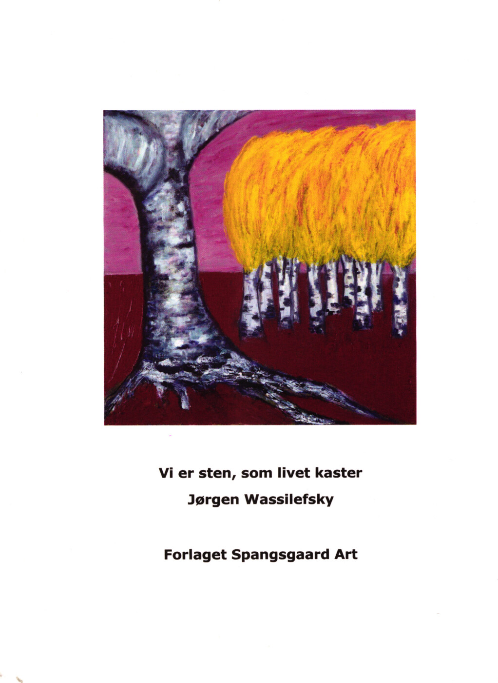 Billede af Vi Er Sten, Som Livet Kaster - Jørgen Wassilefsky - Bog