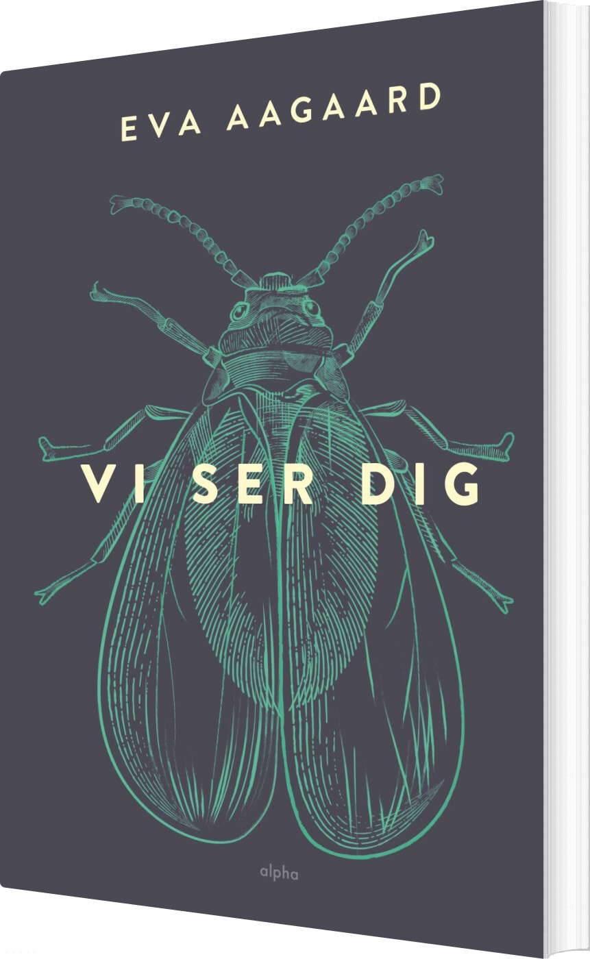 Billede af Vi Ser Dig - Eva Aagaard - Bog