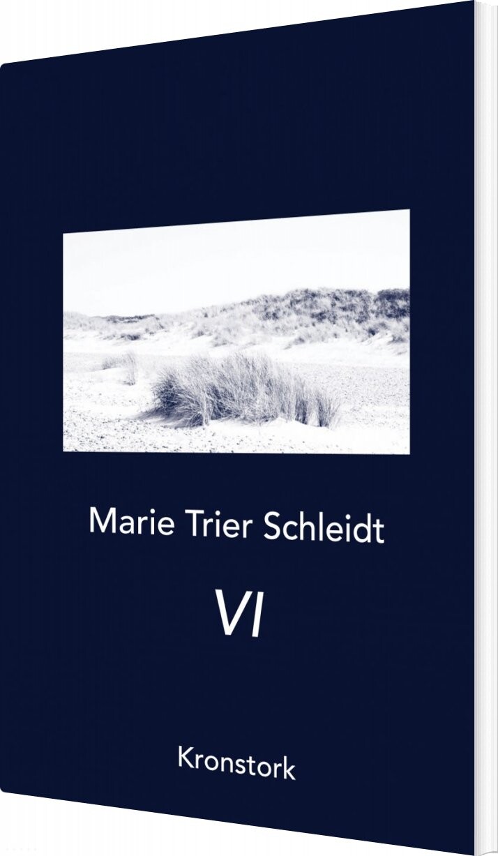 Billede af Vi - Marie Trier Schleidt - Bog