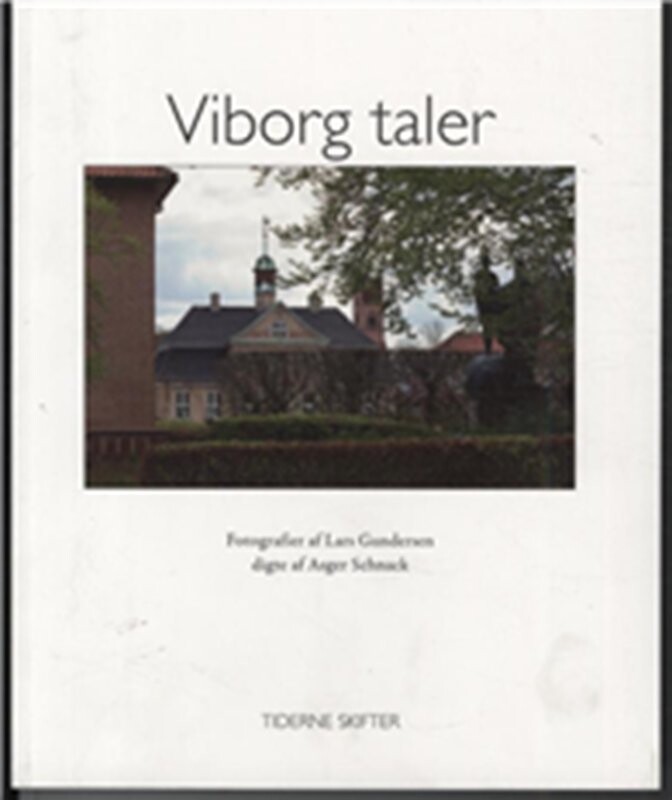 Billede af Viborg Taler - Lars Gundersen - Bog