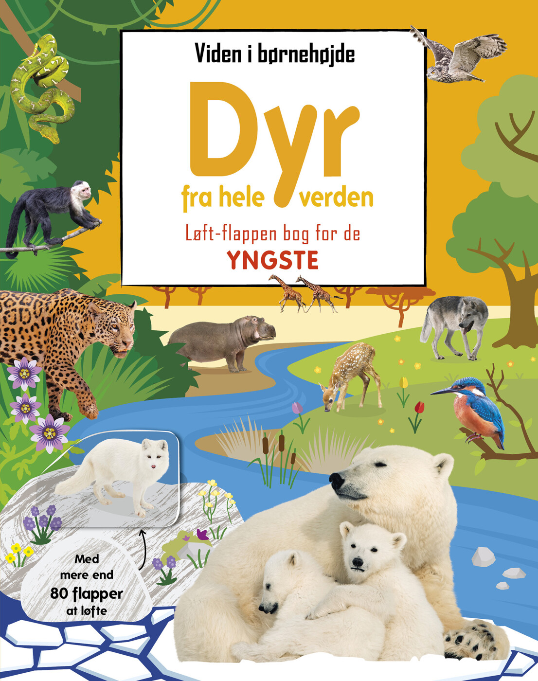 Billede af Viden I Børnehøjde - Dyr Fra Hele Verden - Diverse - Bog