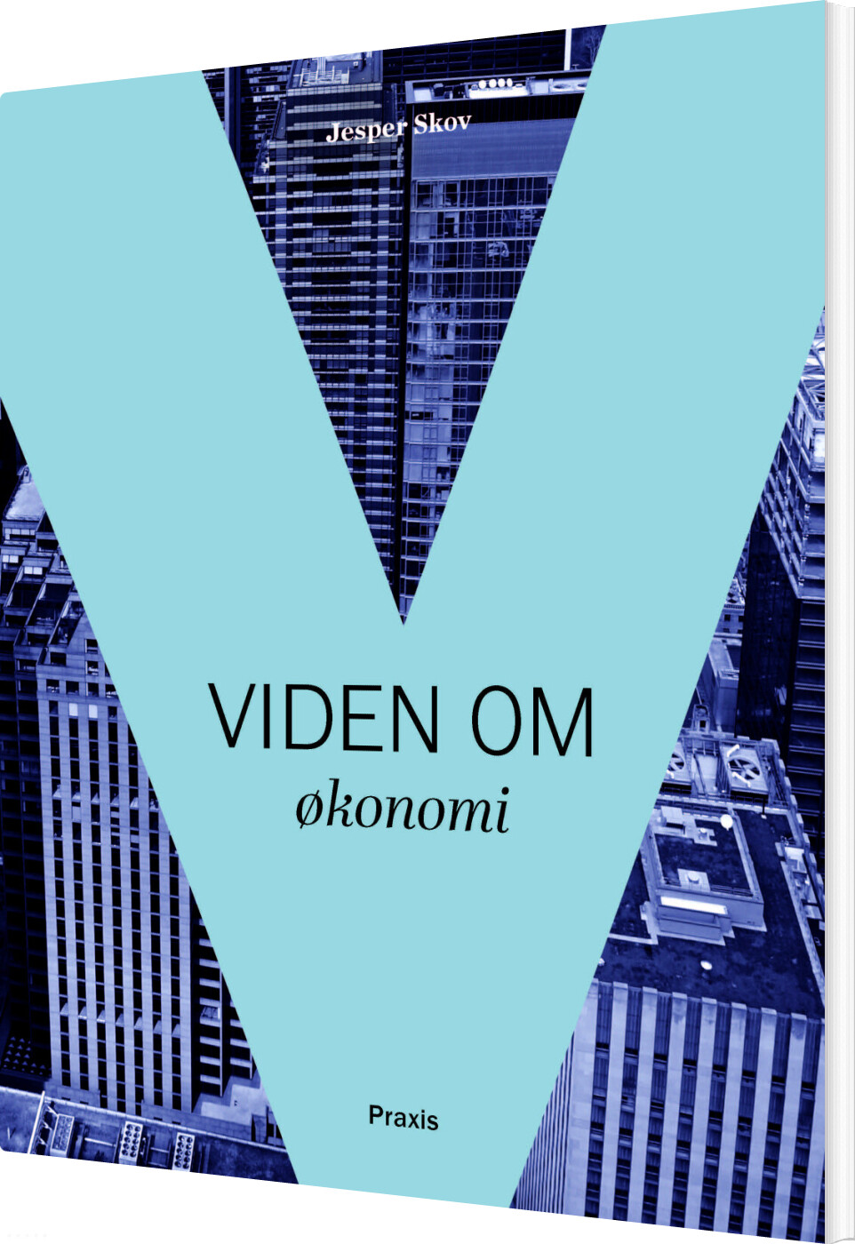 Viden Om økonomi - Jesper Skov - Bog