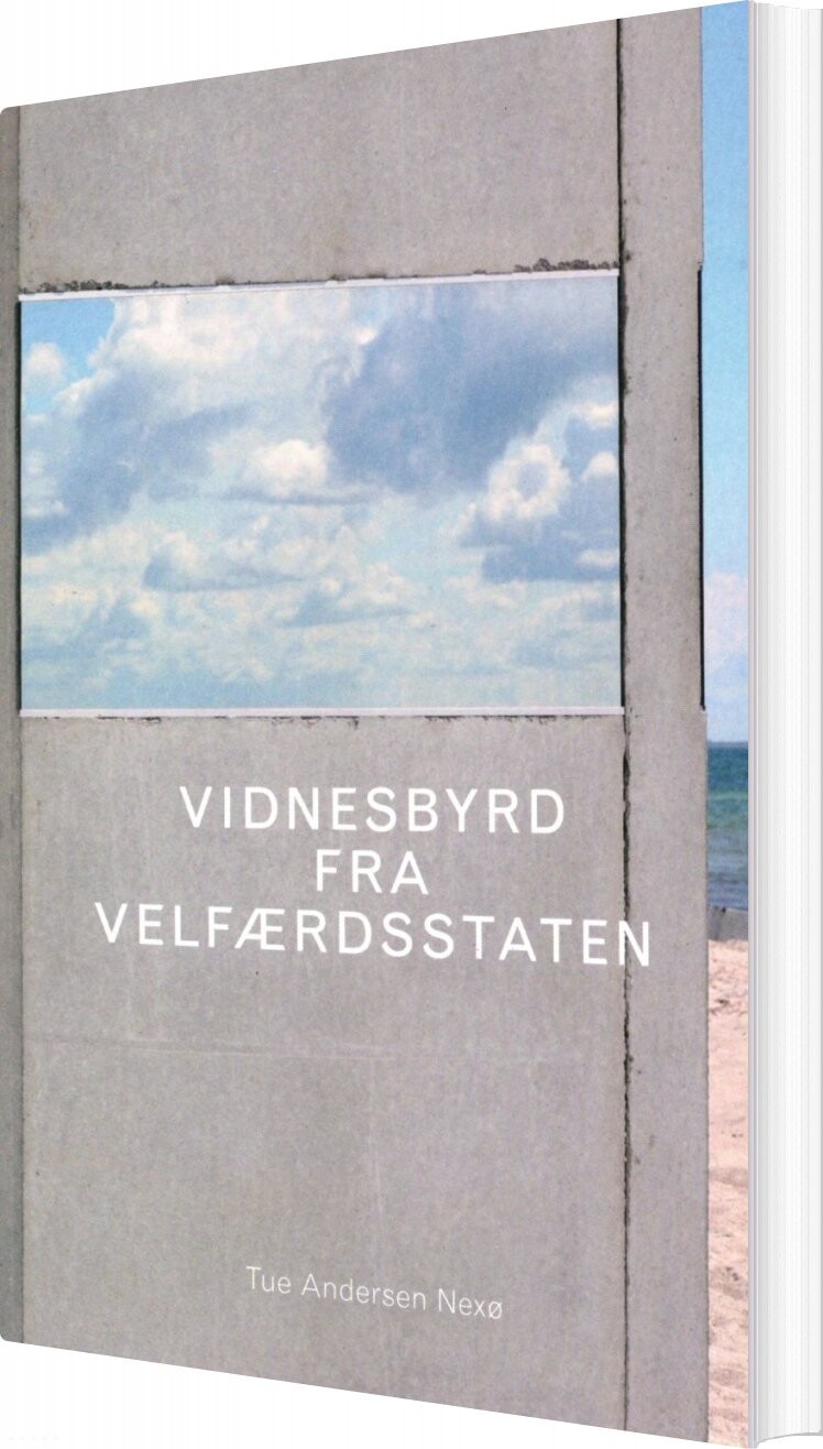 Vidnesbyrd Fra Velfærdsstaten - Tue Andersen Nexø - Bog
