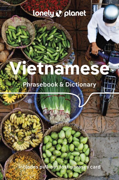 Vietnamese Phrasebook & Dictionary - Lonely Planet - English Book