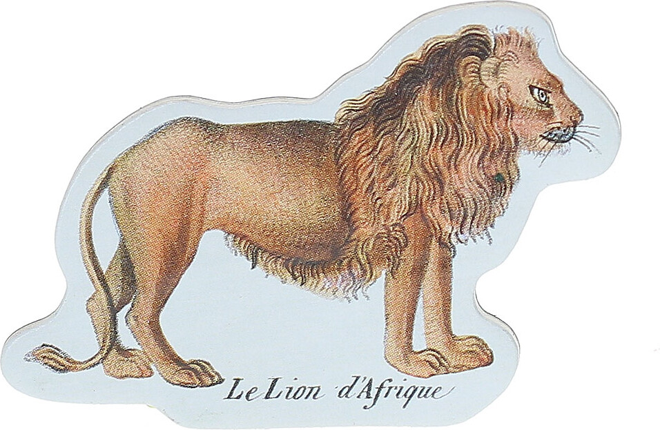 Vilac - Magneter Med Dyr - Naturhistorisk Museum - Træ - 20 Stk