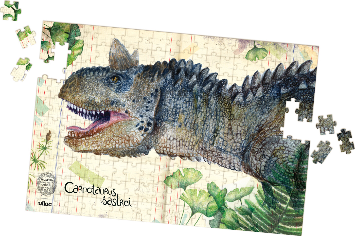 Vilac - Dinosaur Puslespil - Naturhistorisk Museum - 3x200 Brikker